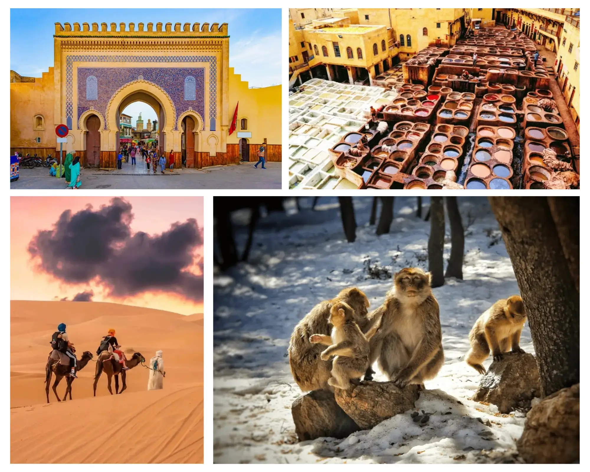 3 Tage Wüstentour von Fes nach Merzouga
