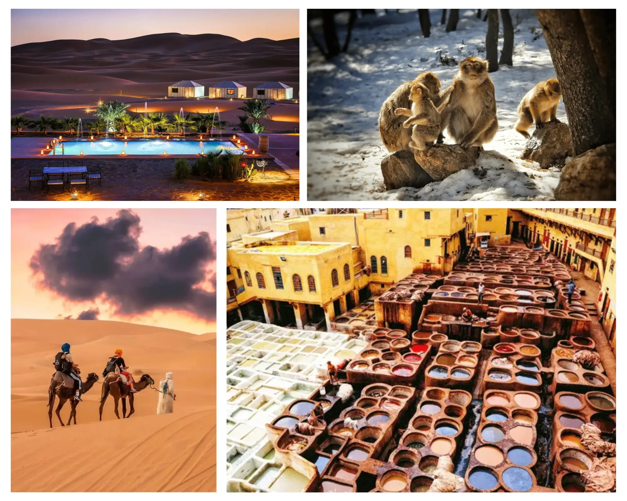 Best 3 days desert tour from Errachidia to Fes