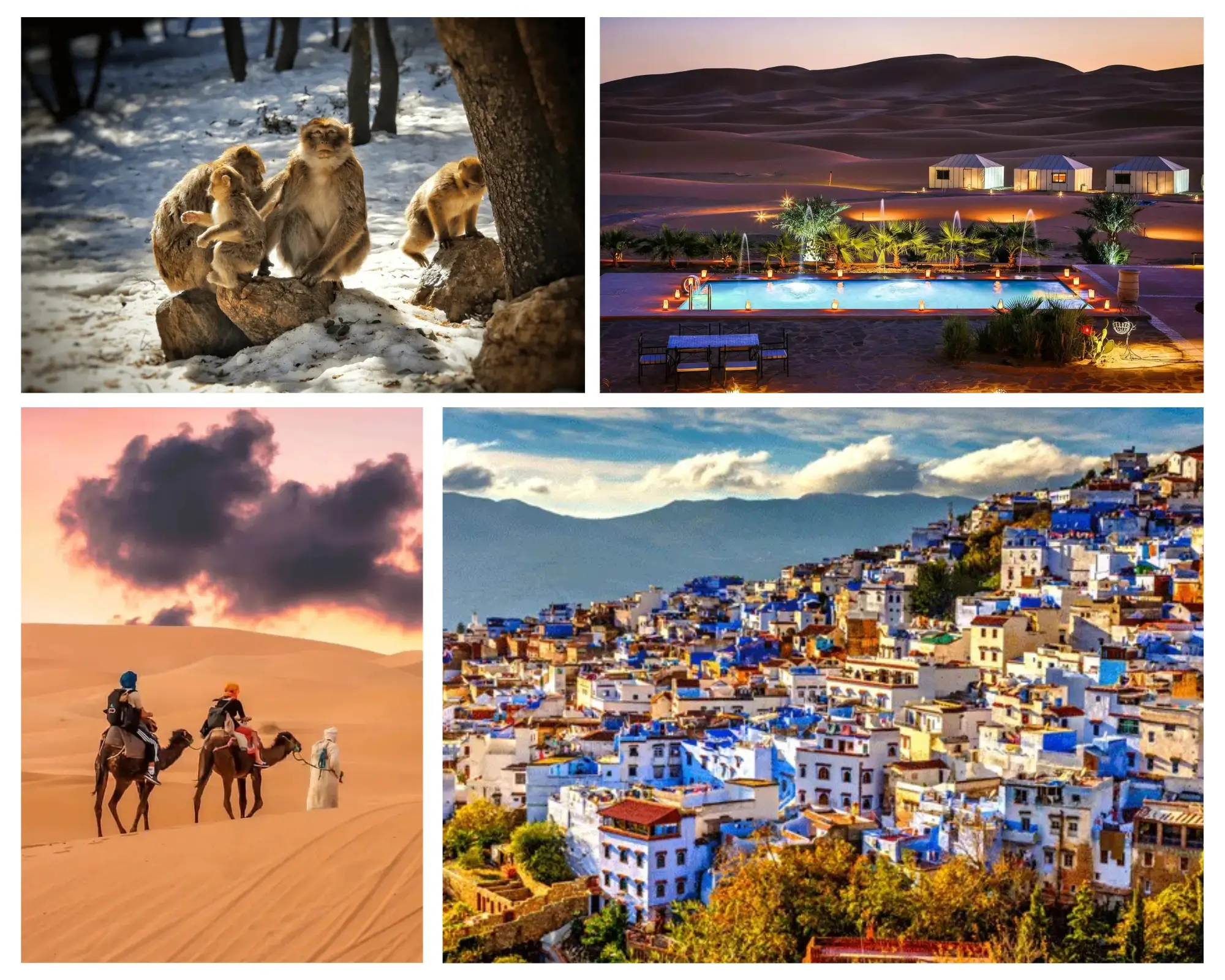 7 Days Desert Tour from Fes