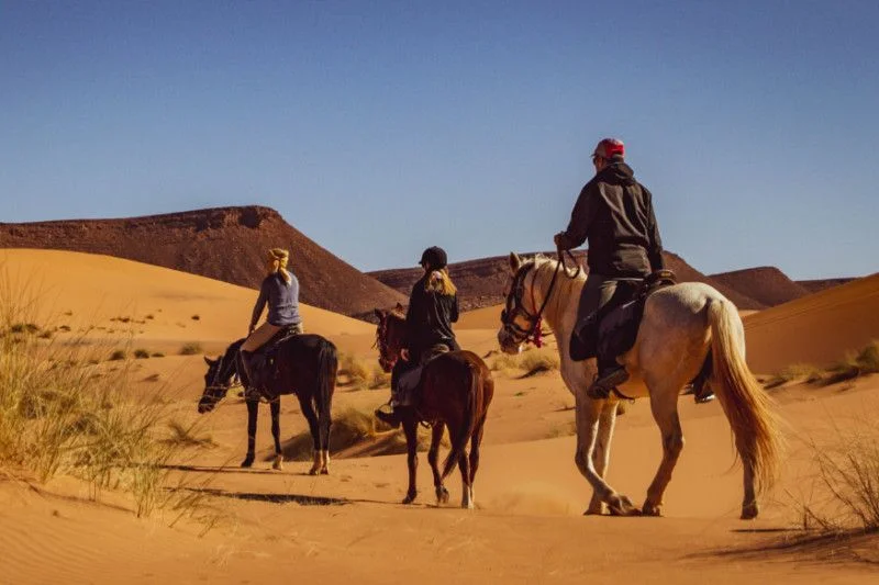Merzouga desert horseback riding