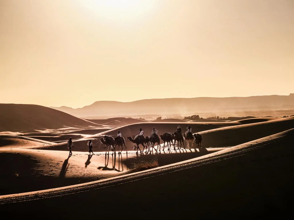 3 Nights Camel Trekking Merzouga Desert