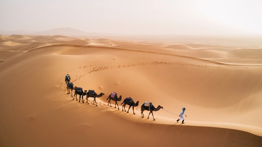 3 Days Tour from Ouarzazate to Marrakech