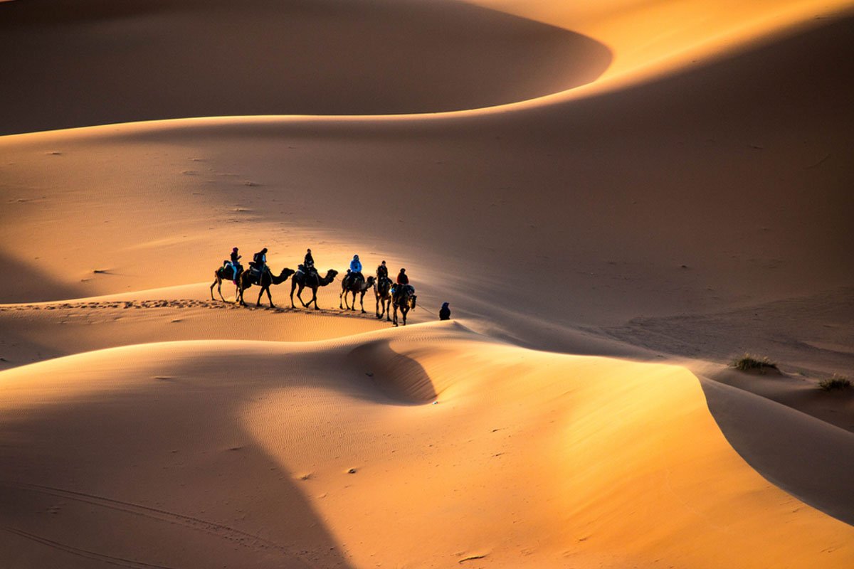Camel caravan in the Sahara desert at sunset
