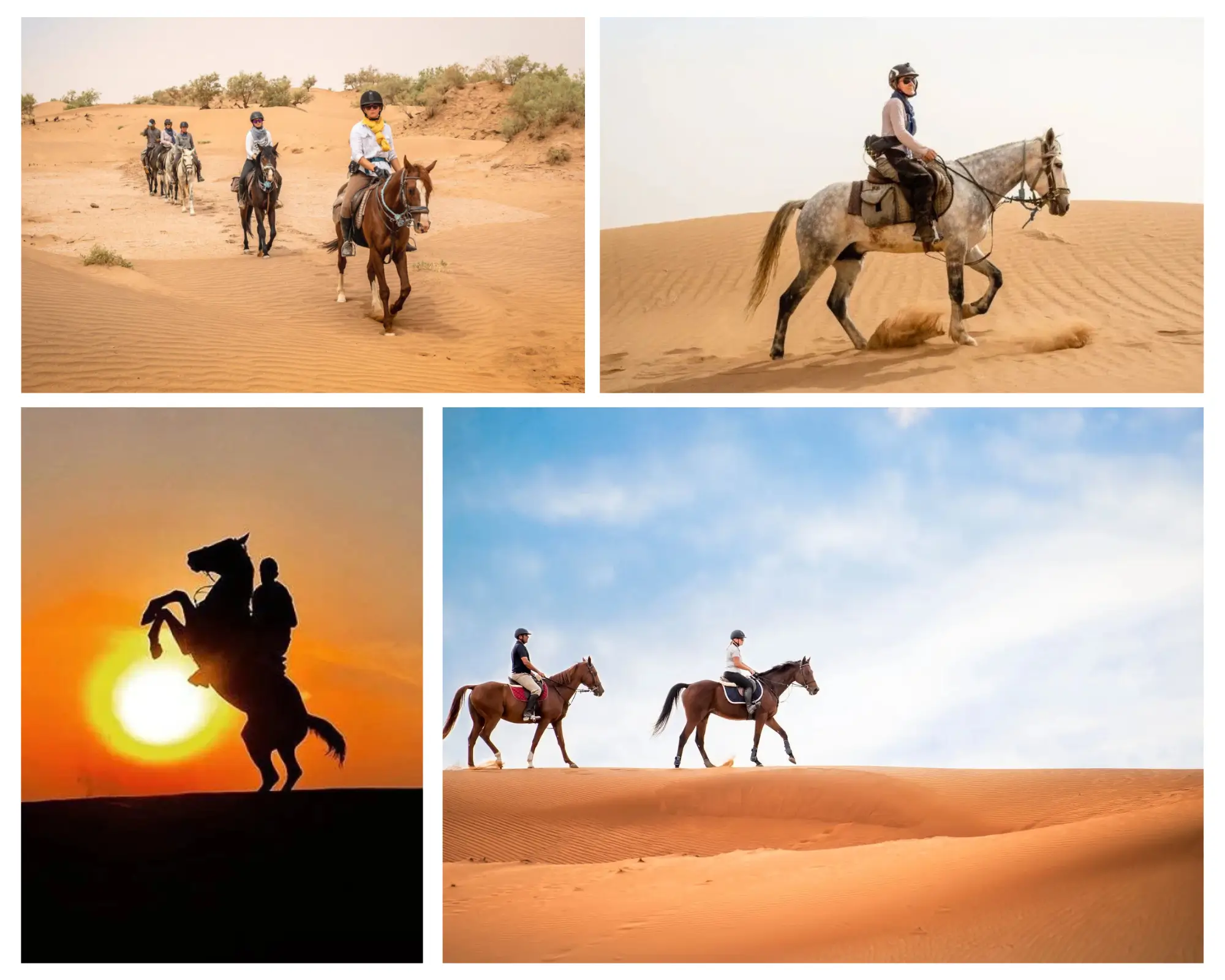 Merzouga desert horseback riding