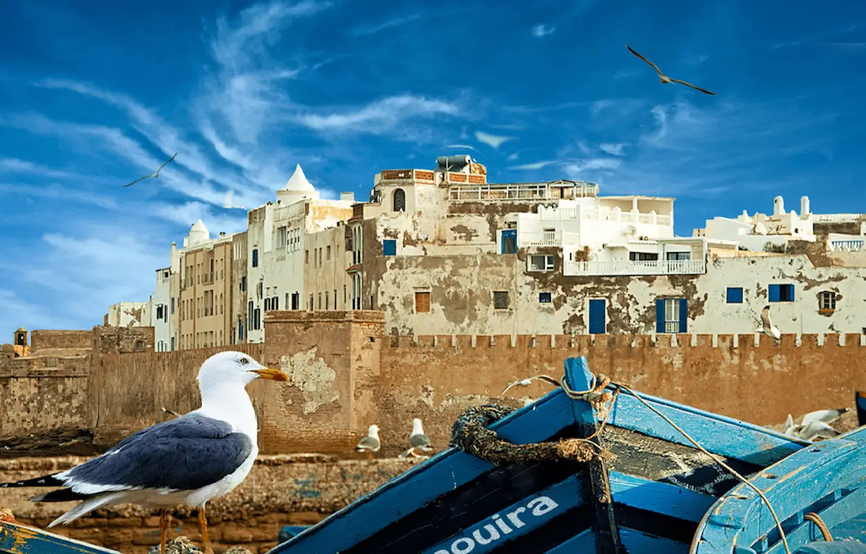 Essaouira & Agadir Guide: Morocco’s Best Beaches & Coastal Towns