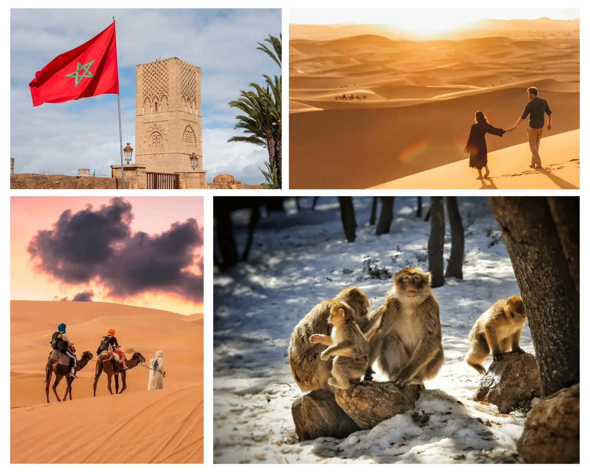 5 days tour from Rabat, Rabat desert tours, morocco vacition itinerary