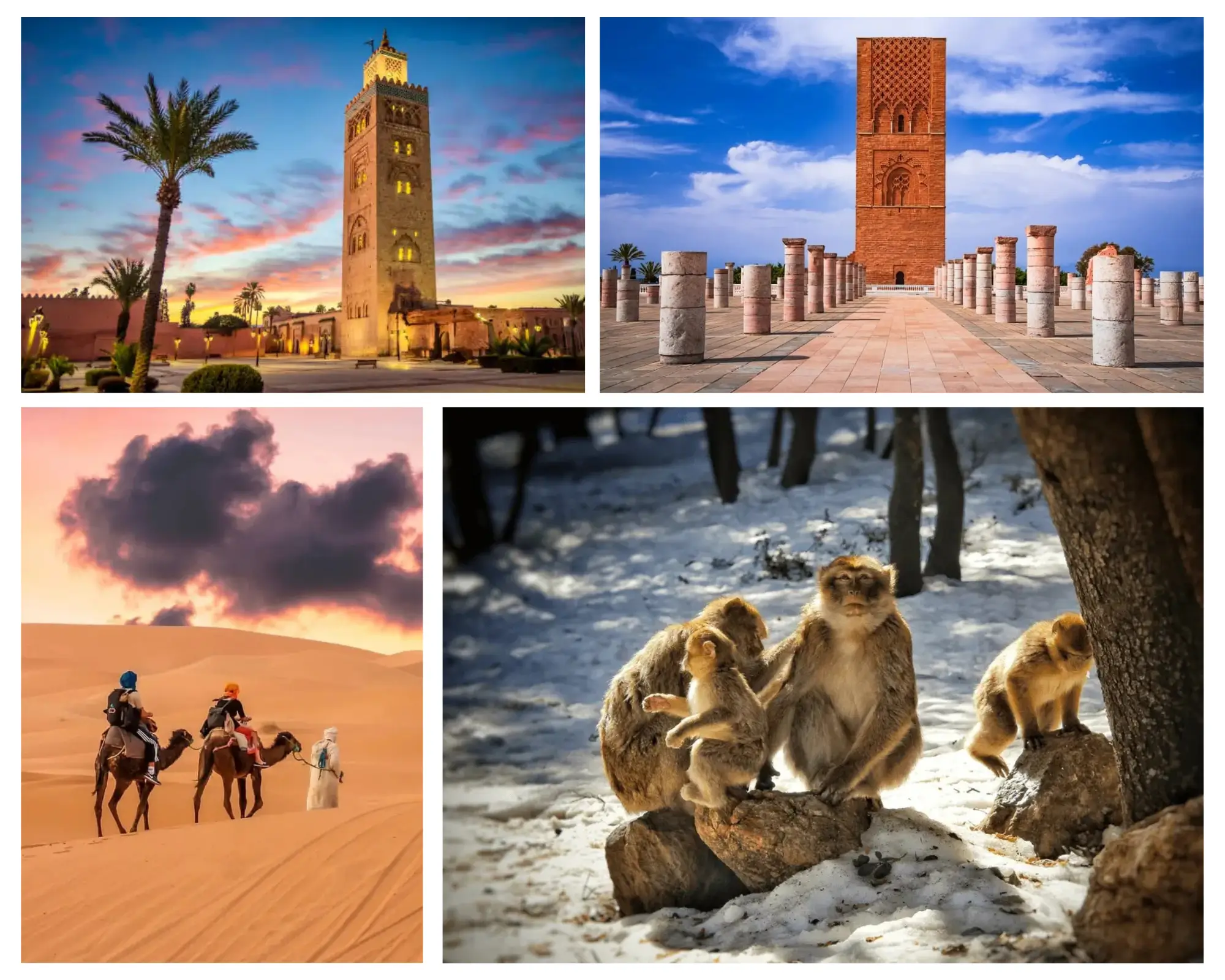 Morocco itinerary 7 Days Tour From Rabat