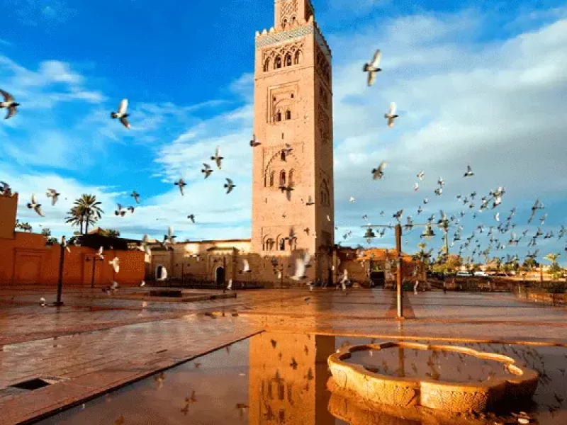 3 days tour from fes to marrakech