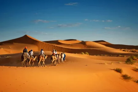 3 nights camel trek