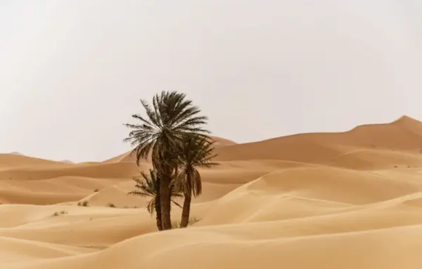 3 nights camel trek morocco