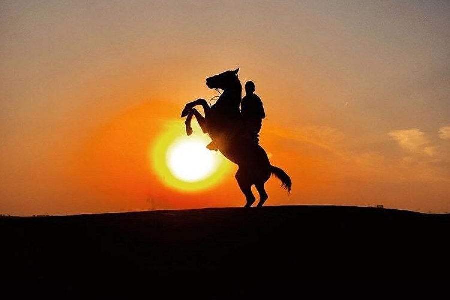 horse riding merzouga